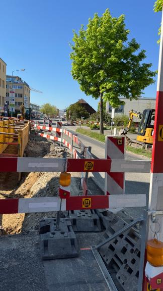 Bild Bracher