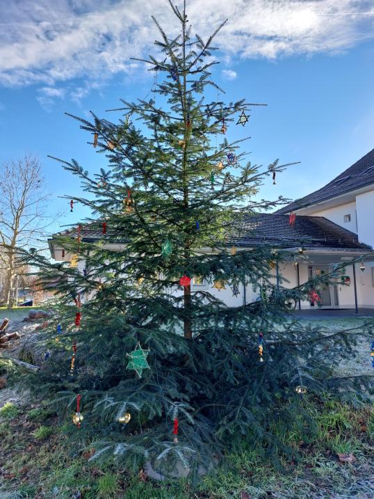 Weihnachtsbaum vor dem Gemeindehaus